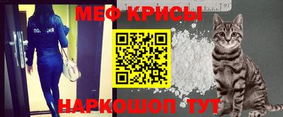 трава Сланцы