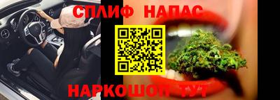 трава Сланцы