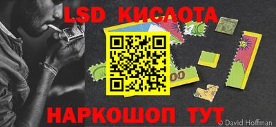 трава Сланцы