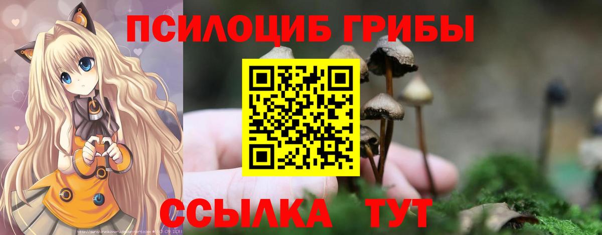 Нижнекамск  Псилоцибиновые грибы GOLDEN TEACHER  Вход с VPN 